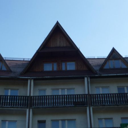 Apartament Nowotarski ザコパネ エクステリア 写真