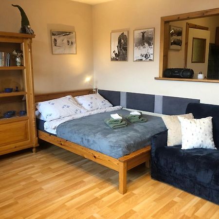 Apartament Nowotarski ザコパネ エクステリア 写真