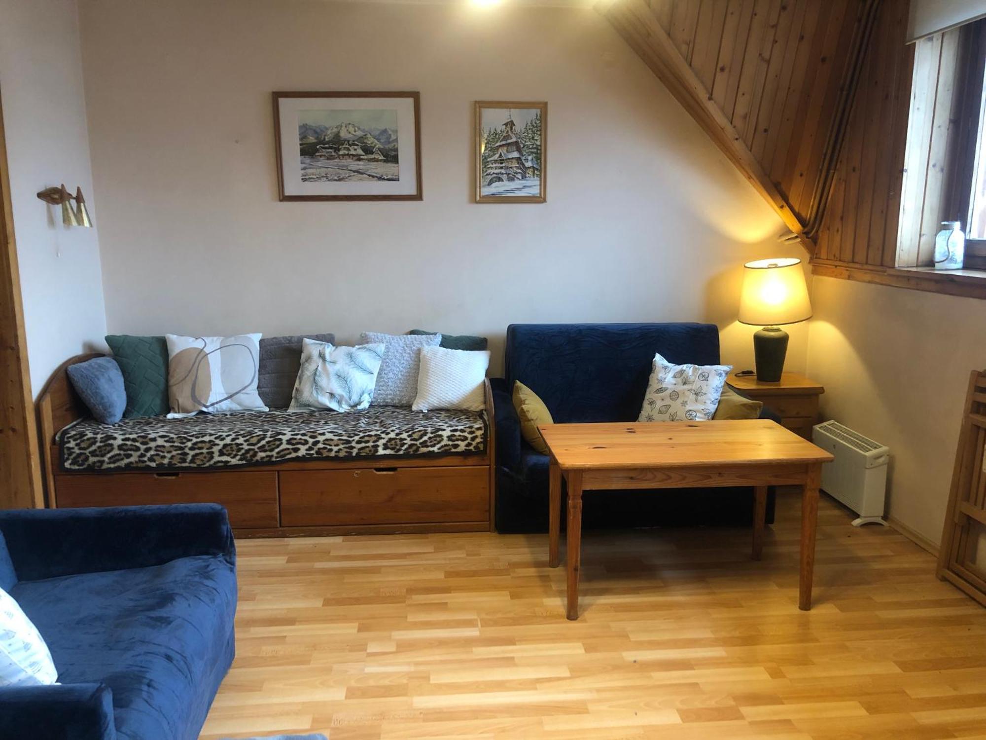 Apartament Nowotarski ザコパネ エクステリア 写真