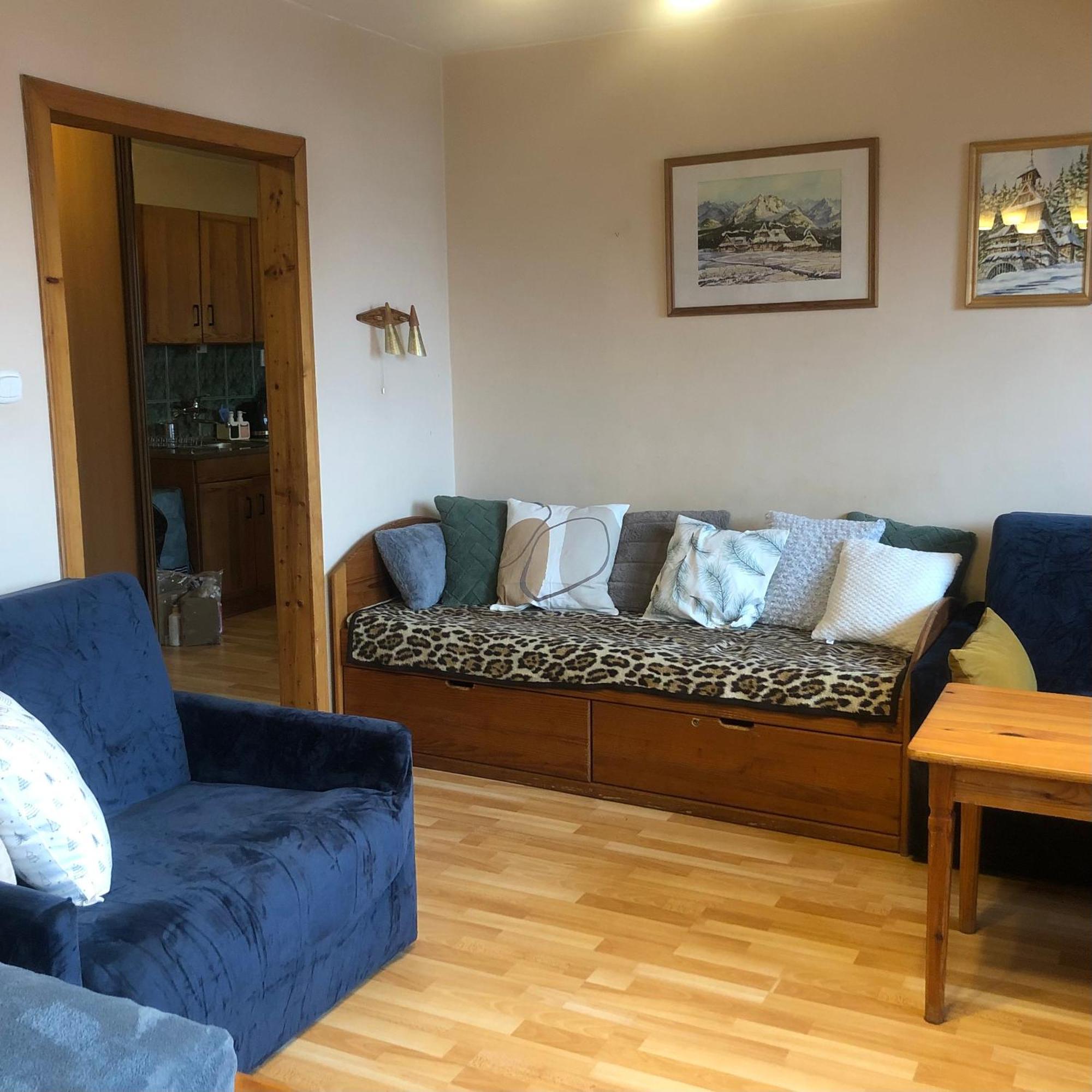 Apartament Nowotarski ザコパネ エクステリア 写真