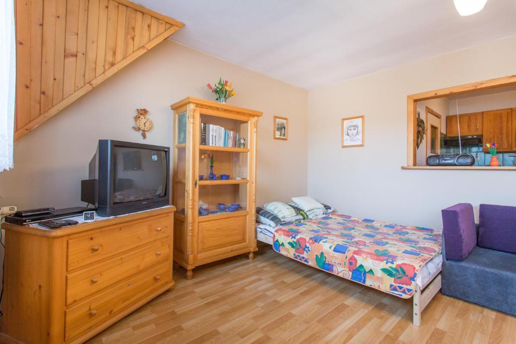 Apartament Nowotarski ザコパネ 部屋 写真
