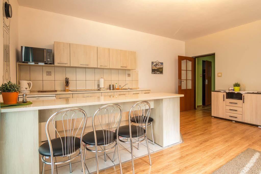 Apartament Nowotarski ザコパネ エクステリア 写真