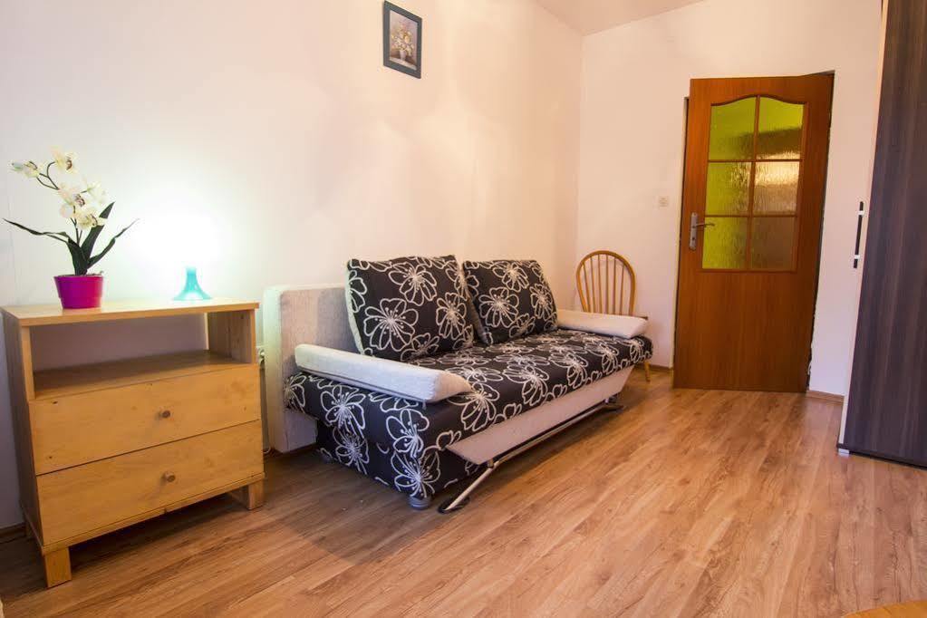 Apartament Nowotarski ザコパネ エクステリア 写真