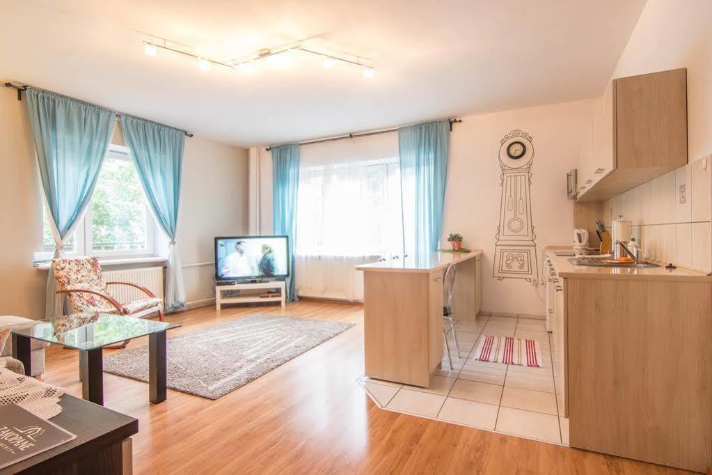 Apartament Nowotarski ザコパネ エクステリア 写真